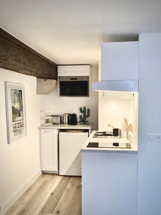 Le Cocon Petite France Apartment Strasbourg Exterior photo